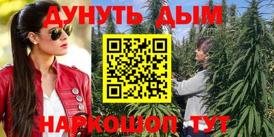 кокс Гай